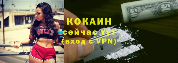 мескалин Бородино